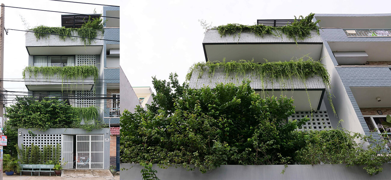 Nhà phố 3 tầng thiết kế đầy đủ công năng, có cả vườn rau xanh và sân tập thể dục