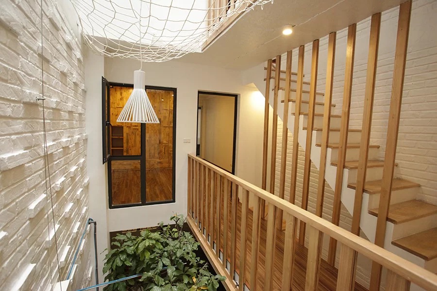 Trồng cây to giữa lòng nhà ống 45 m2 ở Hà Nội